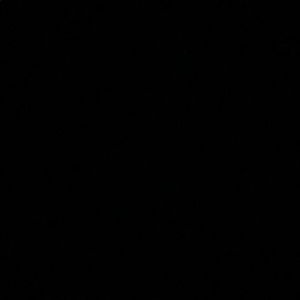 Meet your Posher, Baylee